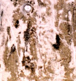 Image of dial 1773