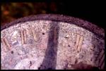 Image of dial 1044